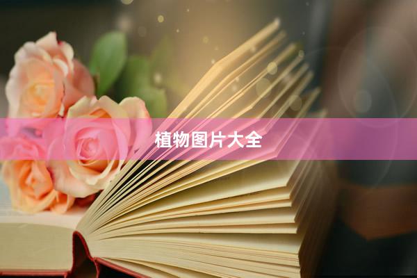 植物图片大全