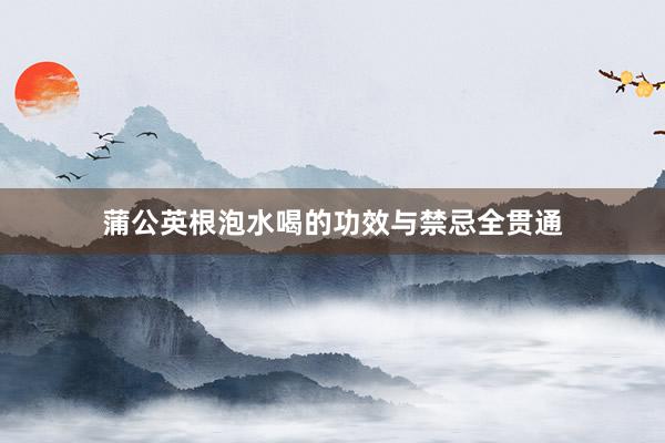 蒲公英根泡水喝的功效与禁忌全贯通