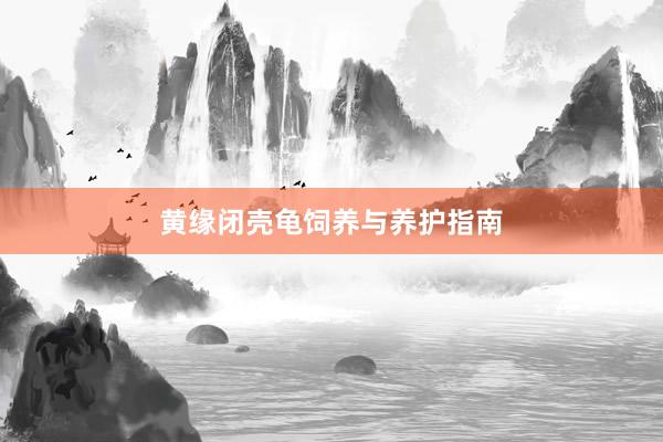 黄缘闭壳龟饲养与养护指南